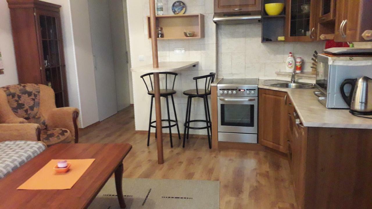 Apartment Ferdinand 卡罗维发利 外观 照片